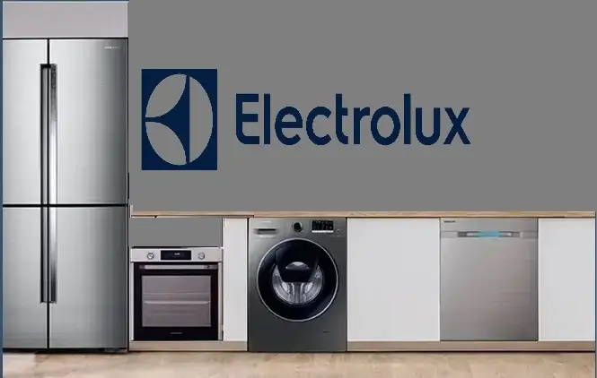 Beşiktaş Electrolux servisi